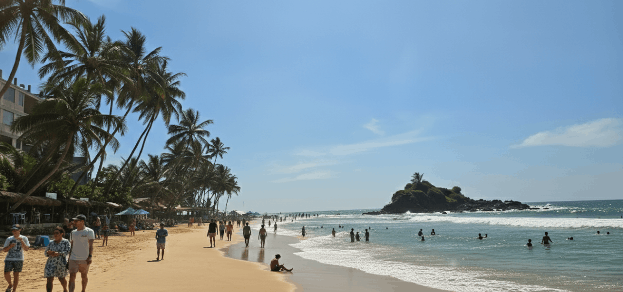 Turtle Bay Mirissa Complete Travel & Snorkeling Guide